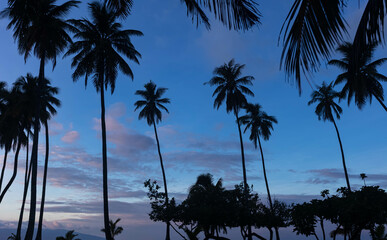 lever de soleil à Tema'e sur l'île de Moorea en Polynésie