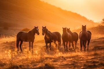 A herd of horses on a golden field at sunset, in a cloud of dust in a warm light.