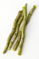 Chinese herbal medicine fresh stem of dendrobium officinale on white background.