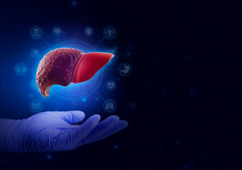 Concept of study, analysis and treatment of liver cirrhosis. The doctor's hand shows the liver in poor condition. Isolated on a technological digital theme.