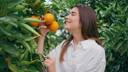Smiling woman enjoying tangerines garden close up. Lady smelling oranges posing