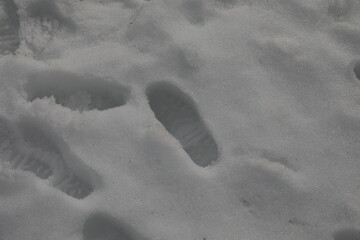 Footprints on the snow.