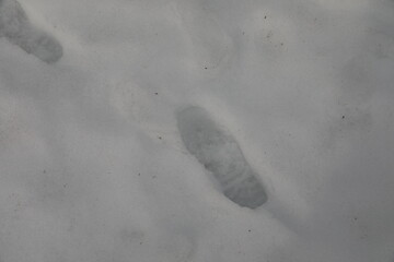 Footprints on the snow.