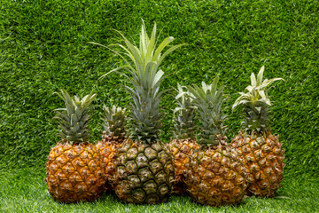 Fresh, delicious pineapple on the grass