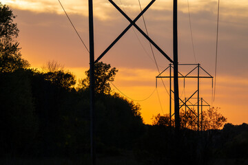 high voltage power lines at sunset through a forested park