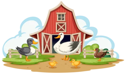 Gordijnen Ducks and ducklings by a red barn on a farm © GraphicsRF
