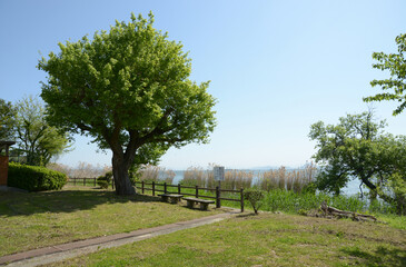 琵琶湖　湖畔の風景　滋賀県大津市