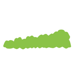 green bush vector illustration