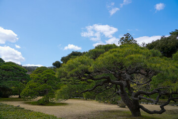 伊勢神宮 風景 景色