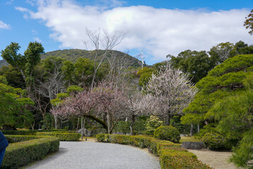 伊勢神宮 風景 景色