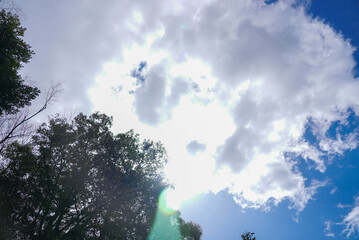 伊勢神宮 風景 景色