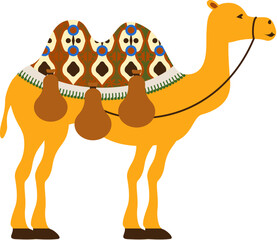 Camel with geometric blanket