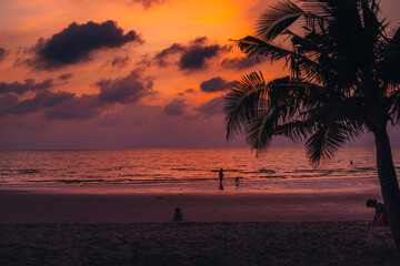 Sunset palm trees,Sunset at the sea, silhouettes of palm trees and a beautiful blue sky