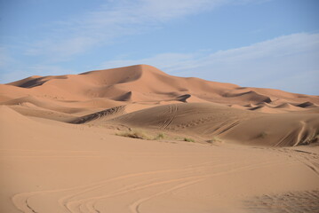 Fototapeta na wymiar entrance of sahara desert