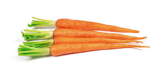 Bunch of baby carrots isolated on white background