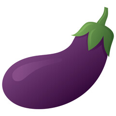 Eggplant Fruit Illustration Vector