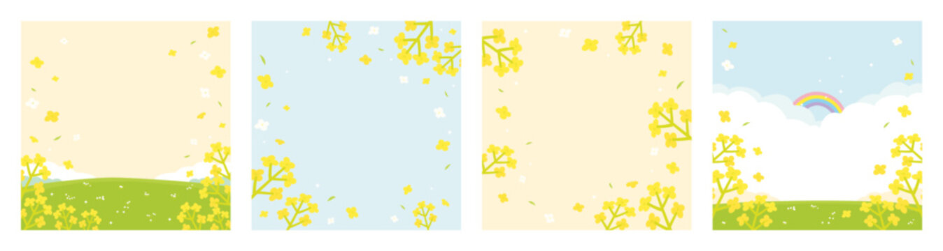 Canola Flower」の写真素材 | 122,330件の無料イラスト画像