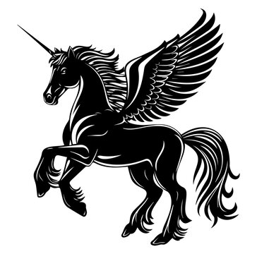 Pegasus hand drawn vector illustration, horse with wings vector