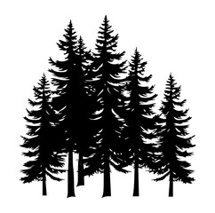 Obraz premium pine trees and forest silhouettes