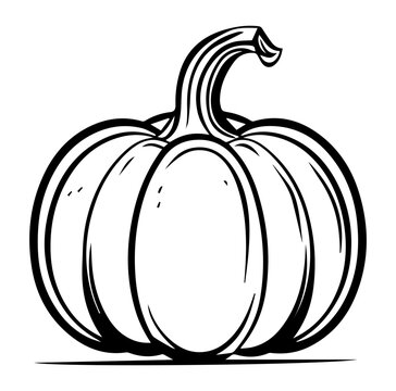 Pumpkin Squash for Halloween or Thanksgiving