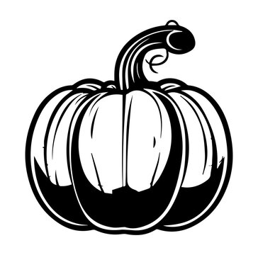 Pumpkin Squash for Halloween or Thanksgiving