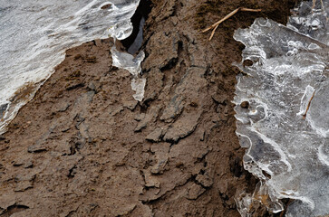 640-103 Mud Covered Bark and Ice - 756912781