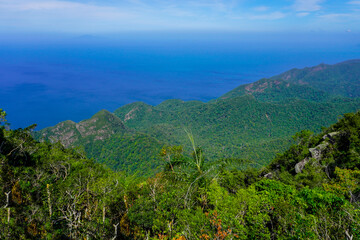 Fototapeta na wymiar Nature of Langkawi island in Malaysia. Mountains and jungle
