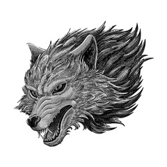 Head of wolf on grey color 