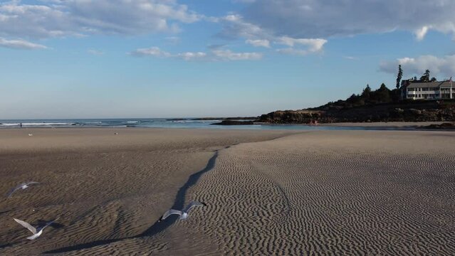 drone fly above sandy beach in Ogunquit Maine USA while seagull fly above the Atlantic Ocean water during a sunny day of summer revealing scenic coastline 