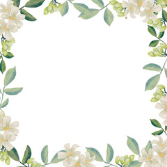 watercolor white murraya orange jasmine flower bouquet wreath frame square banner background - obrazy, fototapety, plakaty