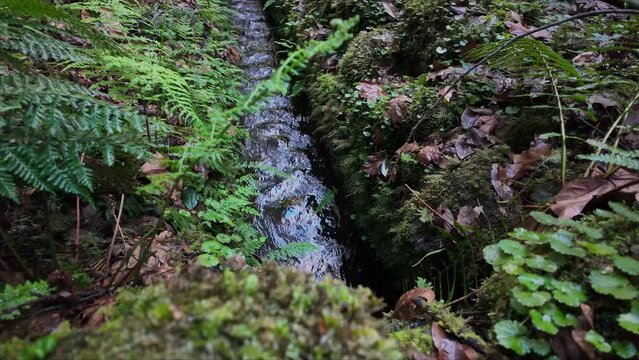 Slow motion shot of fresh water down waterway levada system in Madeira Island