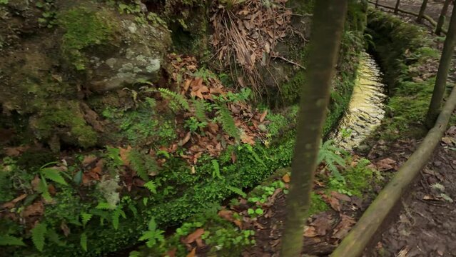 Tracking shot of fresh water running waterway levada in Madeira Island