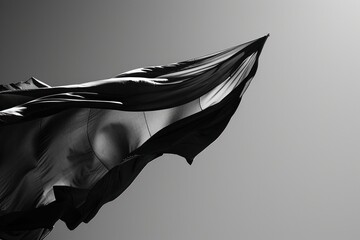 Bold black and white flag fluttering in the wind, exuding strength and unity as a versatile symbol...