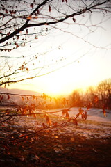 beautiful sunset in the park with the view to Freiburg im Breisgau city, Germany