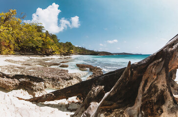 Fototapeta na wymiar Tropical beach at Seychelles, Mahe island