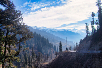 landscape in the morning