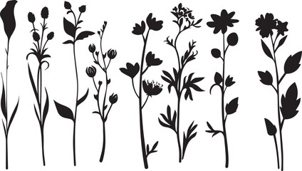 Black flowers signs, flower icons on white background
