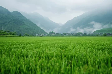 Cercles muraux Guilin Empty green field Chinese village on background.
