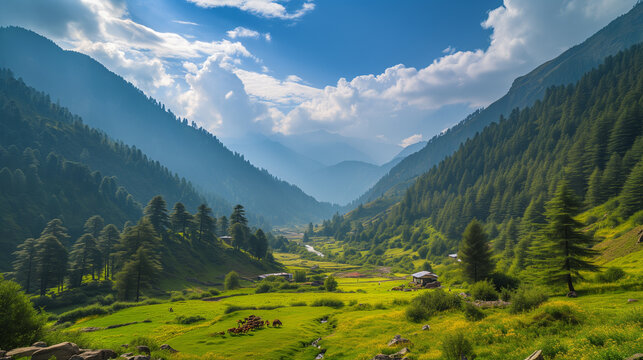 Images of Mountains, Trees, Rivers and Streams in adjoining areas of Kashmir