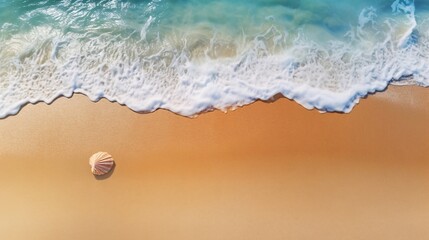 砂浜の波と貝殻、余白・コピースペースのある夏の背景