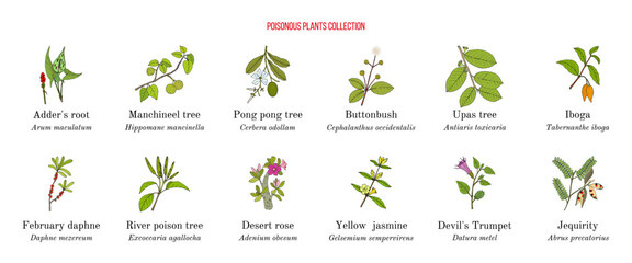 Poisonous plants collection - obrazy, fototapety, plakaty