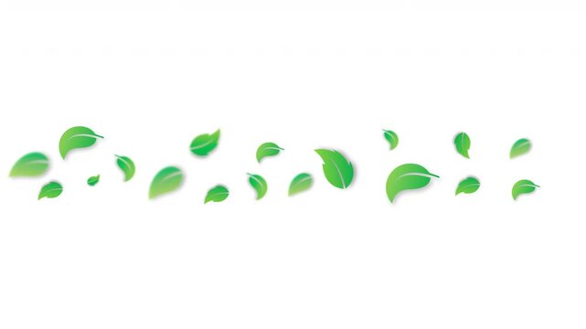 illustration of flying green leaves scattered on transparent background