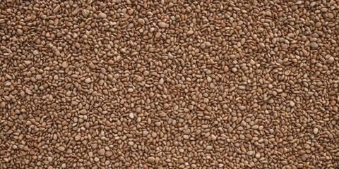 Panorama of Gary gravel texture and background seamless