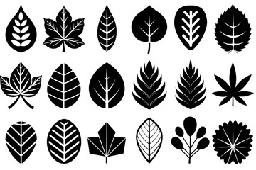 different-style-leaf-icon set 