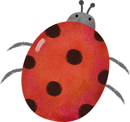 cute watercolor ladybug hand-drawn style