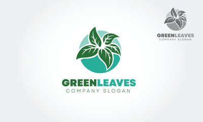 Green Leaves Vector Logo Template. This logo could be used as the main identity element of organic farm or store, vegetarian or vegan restaurant, website or blog about healthy lifestyle. 