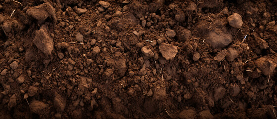 Close up of soil  can be used as background - obrazy, fototapety, plakaty