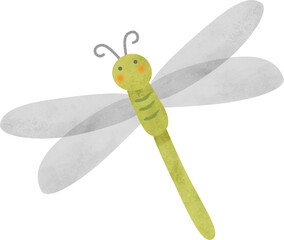cute watercolor dragonfly hand-drawn style