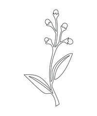 An abstract flower hand-drawn in a continuous line. One Line art Botanical with one line