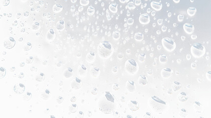 cut out, transparent photo, Transparent layer image, Remove background, clipped